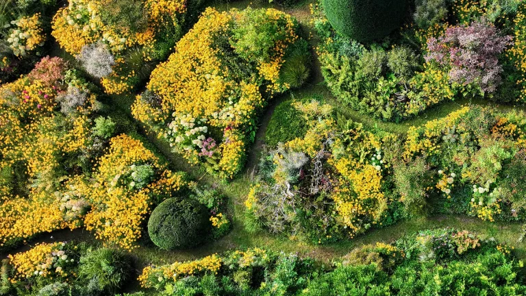 Jardin_Anglais_Green&Co_Goemans_Pully_1920x1080px